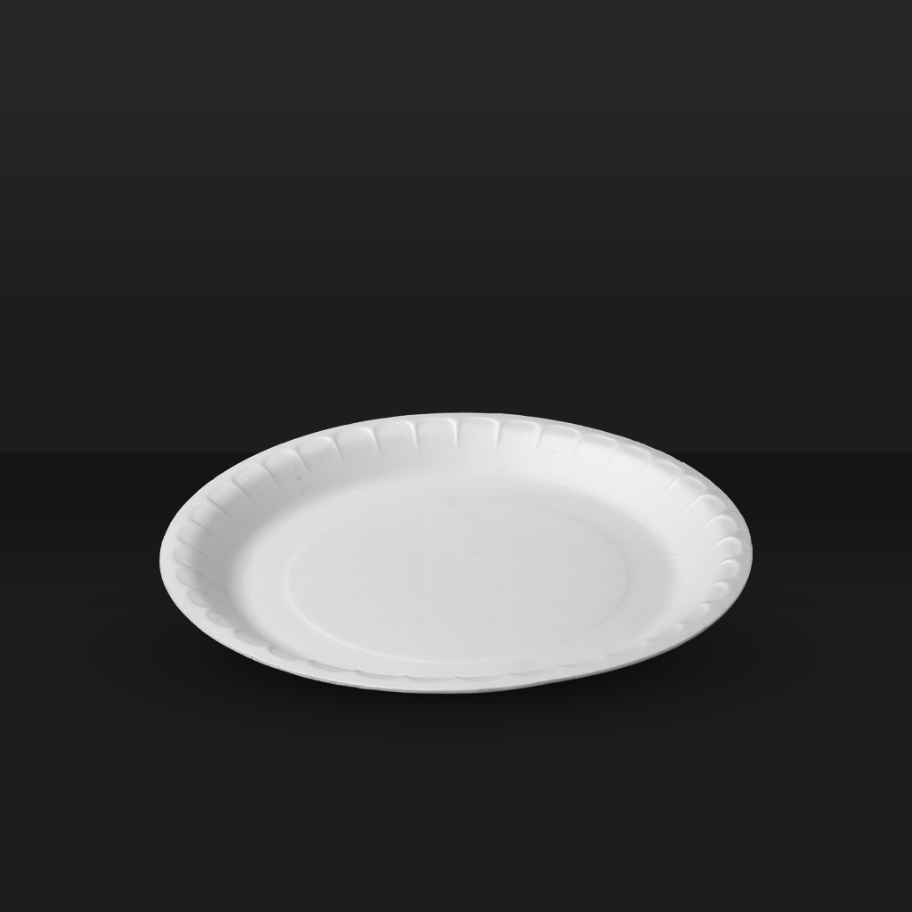 Round foam plate